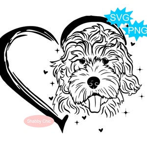 Doodle dorato in formato SVG, Goldendoodle in formato SVG, Doodle dorato in formato Png, Goldendoodle in formato Png, Doodle mamma in formato SVG, Doodle in formato SVG, Doodle mamma in formato SVG, Doodle Png