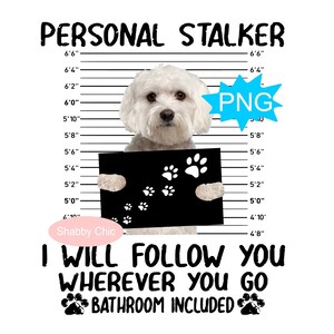 Maltese Png, Maltese Sublimation, Maltese Clipart, Toy Breed Png, Toy Breed Sublimation, Dog Sublimation Designs, Dog Shirt Png