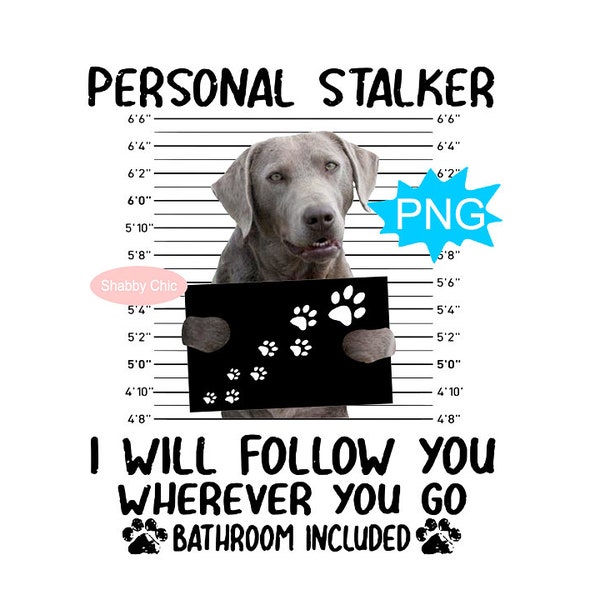 Silver Lab Png, Silver Labrador Retriever Png, Silver Labrador Png, Labrador Clipart, Lab Sublimation, Dog Sublimation Designs, Dog Mug Png