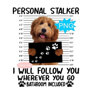 Labradoodle Png, Aprikose Labradoodle Png, australisches Labradoodle Png, Labradoodle Sublimation, Labradoodle Hund, Hundesublimation, Hundebecher Png