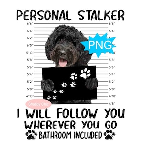Labradoodle Png, Labradoodle Preto Png, Labradoodle Australiano Png, Sublimação Labradoodle, Cachorro Labradoodle, Sublimação De Cachorro, Caneca De Cachorro Png