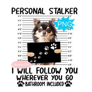 Chihuahua Png, Chihuahua  Sublimation, Black Tan Chihuahua Png, Chihuahua  Clipart, Long Haired Chihuahua, Dog Shirt Png, Chihuahua Mom Png