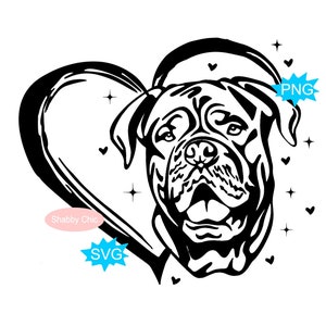 Franse Mastiff Svg, Franse Mastiff Png, Mastiff Png, Mastiff Svg, Mastiff Clipart, Bullmastiff Png, hond sublimatie ontwerpen, hondenshirt png