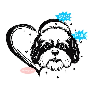 Shih Tzu Svg, Shih Tzu Png, Shih Tzu Mom Svg, Shih Tzu Mom Png, Shih Tzu Mama Svg, Shih Tzu Clipart, Shih Tzu Sublimation, I Shih Tzu Not