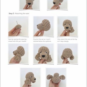Puede incluir: Instrucciones paso a paso para unir orejas de ganchillo a un caniche amigurumi marr&oacute;n. Las instrucciones incluyen coser la abertura cerrada, colocar las orejas y unirlas en la parte superior. El texto "&copy;2019 Chie Powles" y "www.aidieandjellybean.etsy.com 11" tambi&eacute;n es visible.