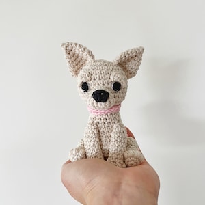 Customisable CHIHUAHUA crochet amigurumi with collar, Crochet chihuahua, amigurumi chihuahua, chihuahua lover gift, chihuahua baby gift,