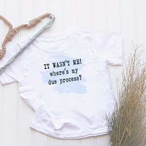 May include: White t-shirt with a blue watercolor background and the text "IT WASN'T ME! where's my due process?"