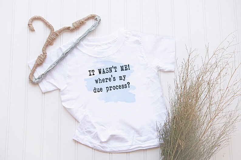 May include: White t-shirt with a blue watercolor background and the text "IT WASN'T ME! where's my due process?"