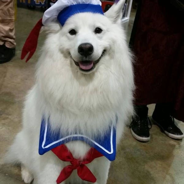 Stay Puft Dog Costume/Sailor Dog Costume