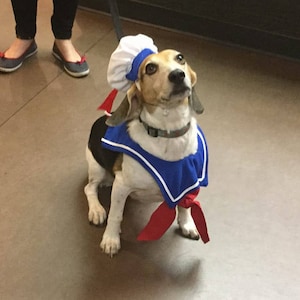 Stay Puft Dog Costume/Sailor Dog Costume image 4