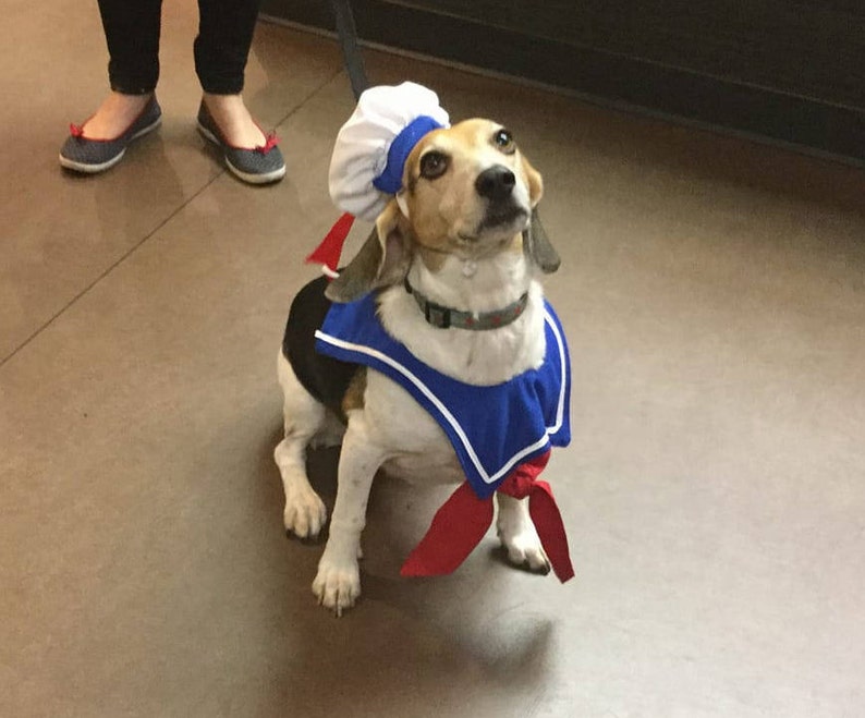Stay Puft Dog Costume/Sailor Dog Costume image 4