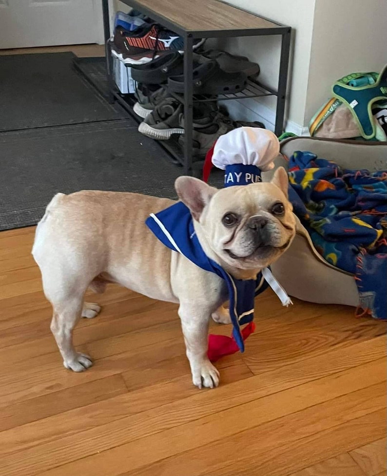 Stay Puft Dog Costume/Sailor Dog Costume image 2