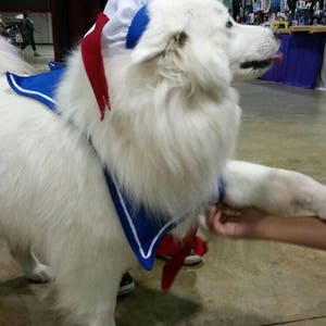 Stay Puft Dog Costume/Sailor Dog Costume image 5