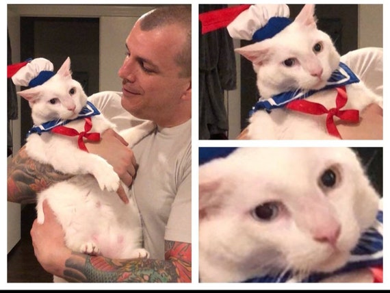 Stay Puft Sailor Costume for Cats