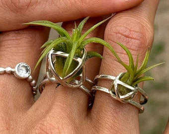 Luxury Air Plant Ring • Sterling Silver or 24K Gold • Living Terrarium Jewelry
