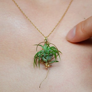 Live Air Plant Necklace Pendant · 24K Gold / 925 Sterling Silver Luxury Minimalist · Dainty Gold Chain · Plant Terrarium · Nature GiftNature