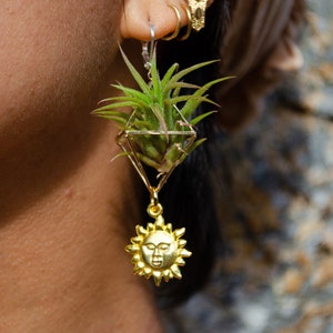 May include: Gold earrings with a small potted plant in a geometric glass terrarium and a sun charm dangling below.