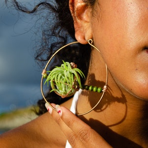 May include: Gold hoop earrings with a small green plant hanging from the hoop. The plant is surrounded by small green beads.