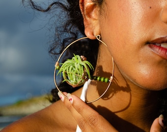 Air Plant Hoop Earrings · Crystal Hoops Statement Jewelry · Geometric Unique Gift for Her · Sustainable Eco Friendly Earrings · Plant Hanger