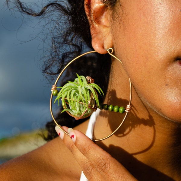 Air Plant Hoop Earrings · Crystal Hoops Statement Jewelry · Geometric Unique Gift for Her · Sustainable Eco Friendly Earrings · Plant Hanger