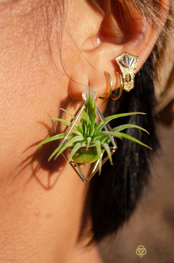 Living Air Plant Stud Earrings Mini Octahedron Studs Minimalist