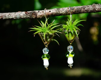 Air Plant Earrings · Glass Mushroom · Octahedron Minimalist Geometric Jewelry · Eco Friendly · Sustainable Fashion · Boho Hippie Jewelry