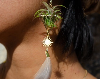 Air Plant Earrings · Sun Feather Crystal Octahedron · Minimalist Geometric Plant Jewelry · Eco Friendly · Sustainable Earrings · Boho Hippie