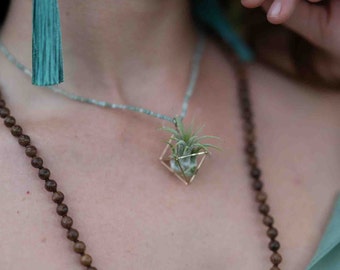 Gemstone Air Plant Terrarium Pendant Meditation Necklace Unique Nature Gifts for Her Active Minimalist Yoga Lover Eco Friendly