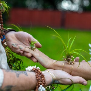 May include: A close-up of two hands, one wearing a ring and the other a bracelet, each holding a small air plant in a gold wire frame. The background is a blurred green lawn.