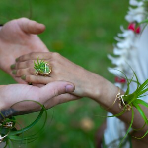 May include: A gold-toned ring with a small succulent plant set in a wire frame. The ring is on a hand with green nail polish, held by another hand. The background is blurred green foliage, suggesting an outdoor setting.