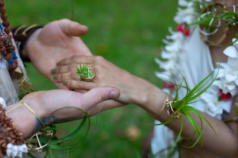 May include: A gold-toned ring with a small succulent plant set in a wire frame. The ring is on a hand with green nail polish, held by another hand. The background is blurred green foliage, suggesting an outdoor setting.