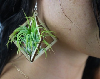 Wooden Air Plant Octahedron Earrings · Japanese Tsugite Tech · Living Eco-Friendly Sustainable Jewelry · PlantLover Gift · Statement Jewelry