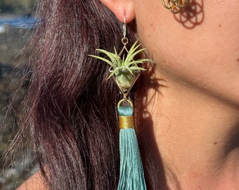 Air Plant Earrings · Royal Gold & Aqua Tassel · Octahedron Minimalist Geometric Plant Jewelry · Eco Friendly Jewelry · Boho Hippie Jewelry