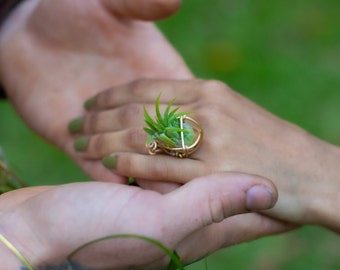 Live Air Plant Ring •  24K Gold • Terrarium Jewelry, Eco-Friendly, Adjustable