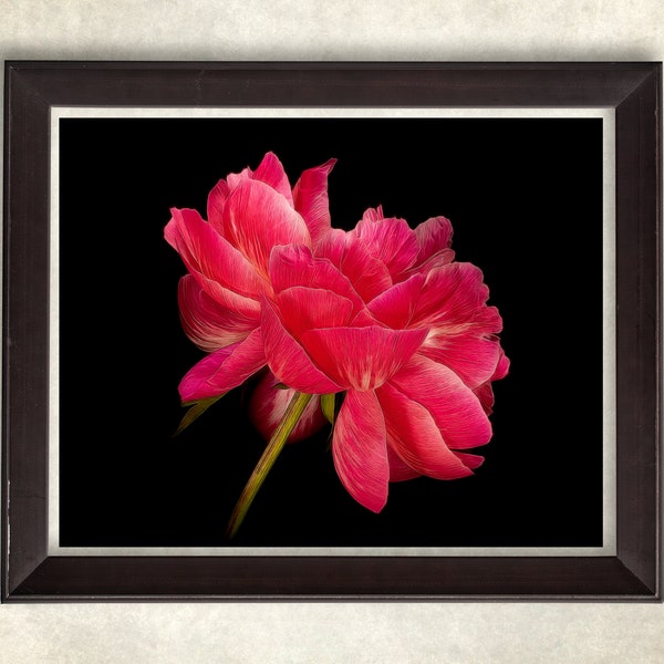 Fine Art Photography Etsy