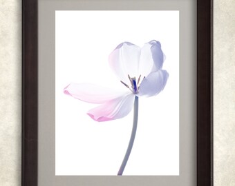 Flower Art, Tulip Photograph,Canvas art, purple picture , muted colors,white, home decor,wall decor,vertical print,office decor,gift for her
