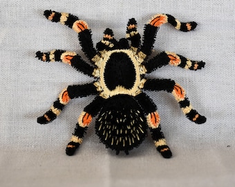 Red Knee Tarantula