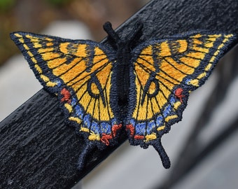 Eastern Tiger Swallowtail Butterfly