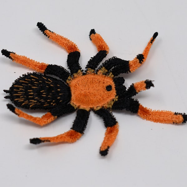 Fireleg Tarantula