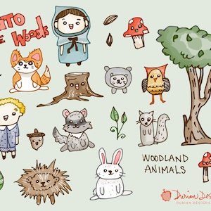Uso comercial de imágenes prediseñadas de animales de bosque, conejo de fox chica chico ardilla bosque puerco espín mapache pájaro oposum Prediseñadas, descarga inmediata
