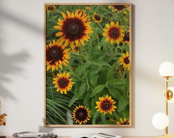 Vibrant Black Eyed Susan Flowers Digital Print | Rudbeckia Hirta Wall Art
