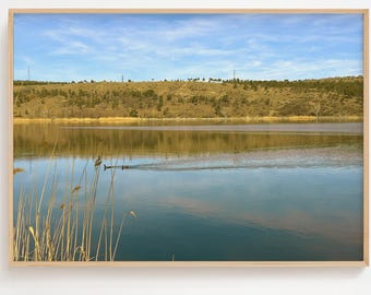 Calm Lake with Ducks photography Print | Rustic Farmhouse Nature Decor