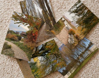 postcard set of 5 | Fall trees greeting cards