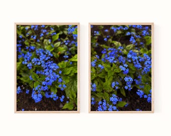 Blue Flower Wall Art Set of 2 | Forget Me Not Prints | Botanical Digital Photography