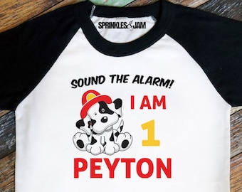 Fireman Birthday Shirt, Firefighter Birthday TShirt, Boys 1st Birthday Clothes, Fireman Party, First Birthday Tee - RAGLAN