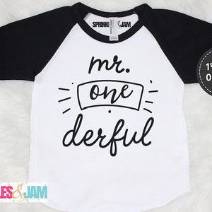 Mr Onederful Shirt 1st Birthday Boy Outfit First Birthday Boy Shirt Mr Onederful Shirt for Boys Trendy Baby Boy RAGLAN image 6