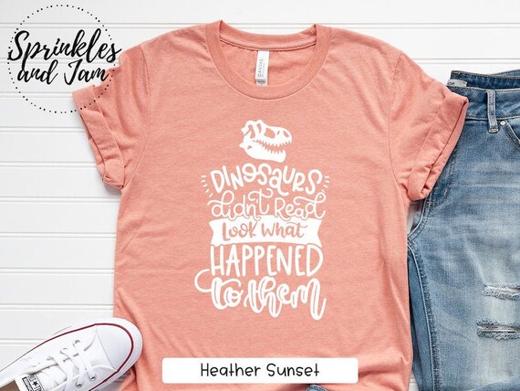 Dinosaur Teacher T-shirt Dinosaurs Didn 