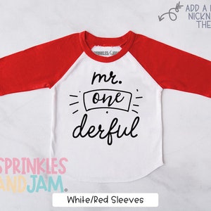 Mr Onederful Shirt, 1st Birthday Boy Outfit, Mr Onederful Outfit,  First Birthday Shirt Boy, Boys First Birthday Outfit - RAGLAN