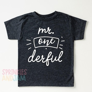 May include: A dark charcoal heather short-sleeve t-shirt featuring white screen-printed text that reads mr. one derful. The word one is enclosed in a rectangular border with rounded corners, and the design includes small decorative dash marks.