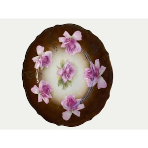 Antique Victorian Brown and Pink Floral CT Carl Tielsch Plate Germany 1800s